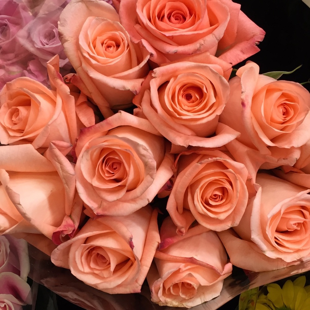 Meet your Posher, Amanda